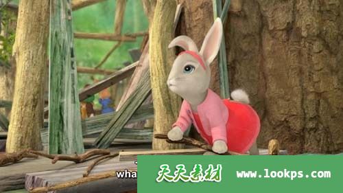 彼得兔1 彼得兔1