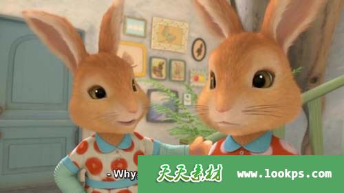 彼得兔3 彼得兔3