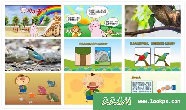 新小小牛顿成长版 新小小牛顿成长版