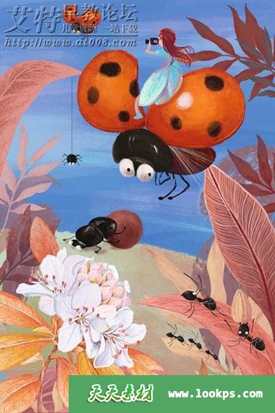 科学队长第二季