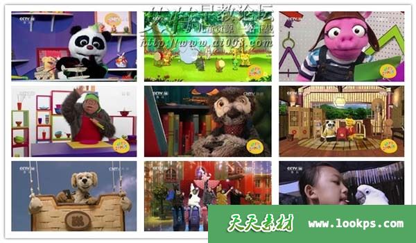 动物好伙伴 动物好伙伴