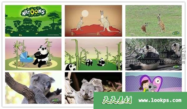 帮助宝宝认识动物