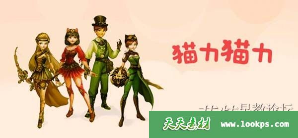 猫力猫力 猫力猫力