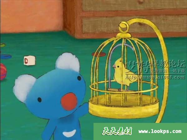 蓝色小考拉 蓝色小考拉