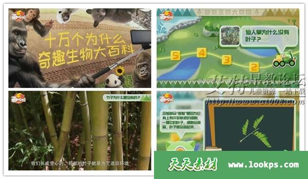 副本2.jpg