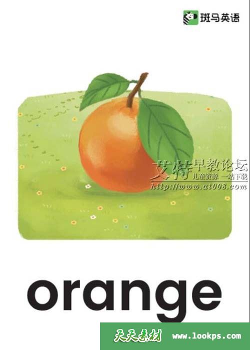 斑马英语启蒙单词卡0-6岁 PDF高清彩页共300张下载